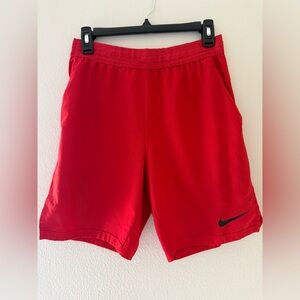 Nike Men's Red Athletic Dri-Fit Shorts